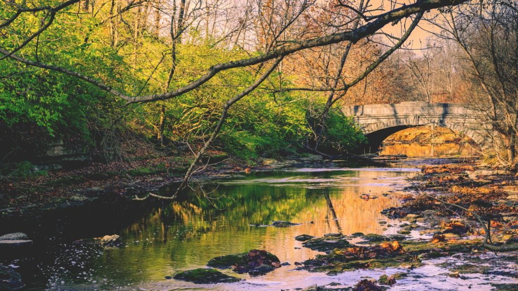 Stone bridge spanning Beargrass Creek in Cherokee Park Louisville, Kentucky